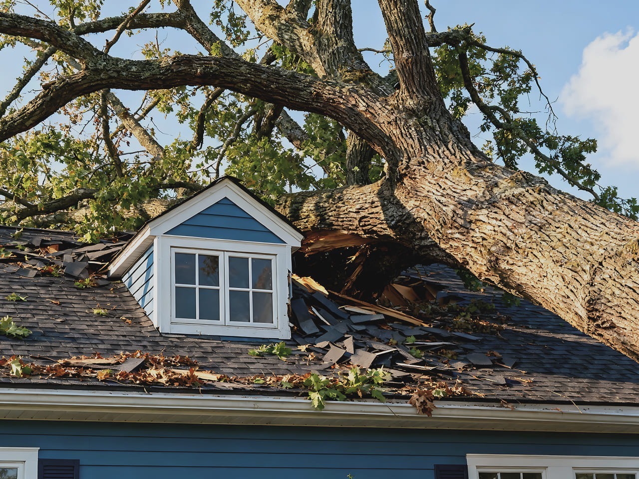 A large tree has fallen onto the roof of a blue house, causing significant damage to the shingles and structure near a dormer window. Broken branches and debris are scattered across the roof.