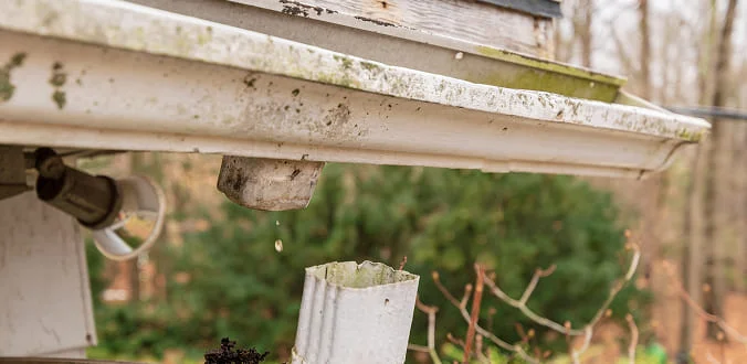 A close-up of a house gutter with moss and dirt, showing water dripping into a downspout. Trees and blurred outdoor scenery are in the background.