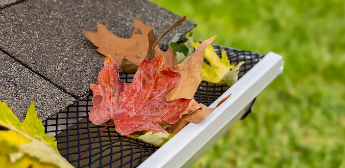 A close-up of a gutter with a mesh guard, covered by colorful autumn leaves, next to a shingled roof and a blurred green lawn in the background.