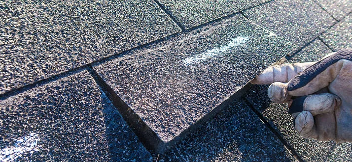 A gloved hand lifts a single asphalt shingle on a rooftop, revealing the texture and layers of the roofing material in bright sunlight.