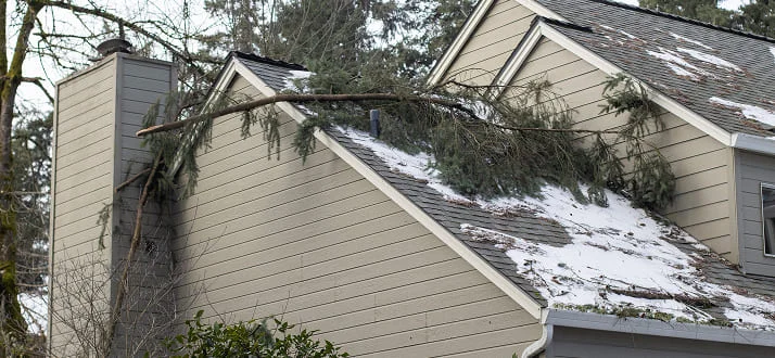 A snow-covered house roof with a fallen tree branch on it, causing visible roof damage.